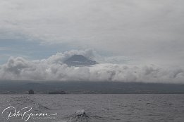 IMG_05698 Bei der berfahrt von Pico nach Faial - im Hintergrund der Pico