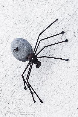 Groe Spinne an der Hauswand
