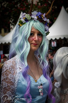 IMG 37071