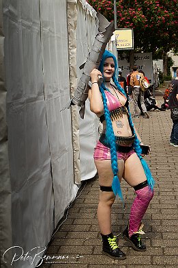 IMG 37084