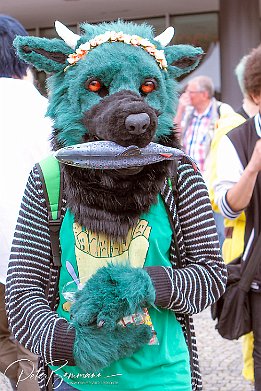 IMG 37113