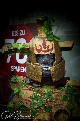 IMG 37396