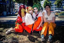 IMG 38078