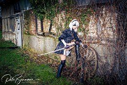 IMG 39237