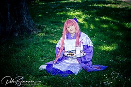 IMG 40931