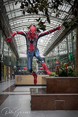 IMG_01299