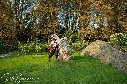 IMG_RP_06426