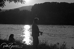 IMG 3867-3