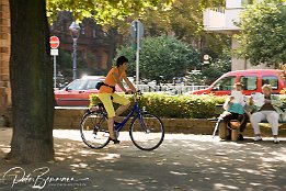 IMG 4913