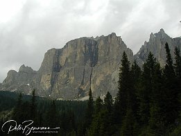 P1010037
