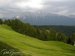 P1010060