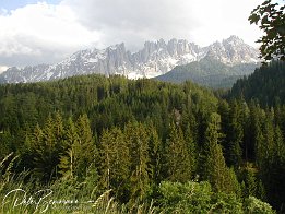 P1010075