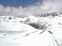 P1010087
