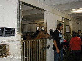 P8170042 Besichtigung des Trainingstall Radandt