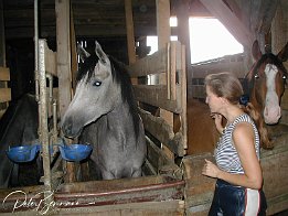 P8170047 Besichtigung des Trainingstall Radandt