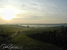PA020002 Start im Frhnebel