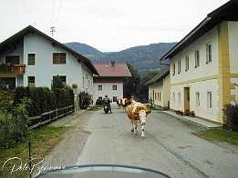 PA040042 Das Begrungskommittee