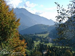 PA050055  irgendwo in der Nähe des Vrsic-Sattel (Julische Alpen)