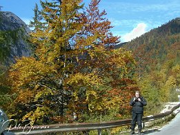 PA050073  irgendwo in der Nähe des Vrsic-Sattel (Julische Alpen)