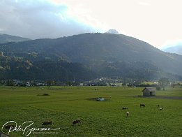 PA050076  Umgebung Tröpolach