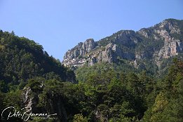 IMG 1139