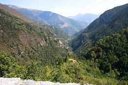 IMG 1145