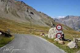 IMG 1192