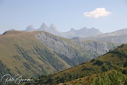 IMG 1254