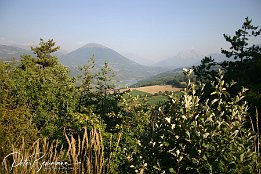 IMG 1266