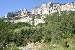 IMG 1278