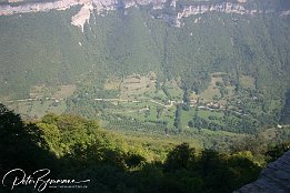 IMG 1306