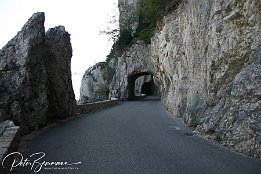 IMG 1307