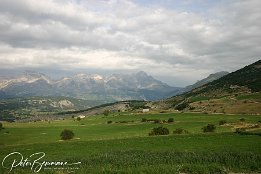 IMG 1422