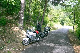 IMG 1466h
