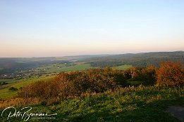 IMG 2229