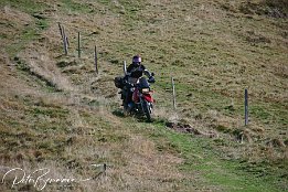 IMG 3631
