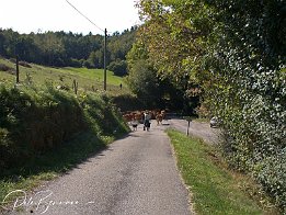 P1000401