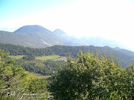 irgendwo in der Provence