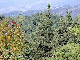 irgendwo in der Provence