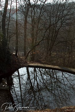 Natur