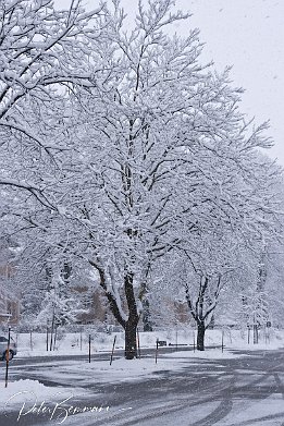 IMG_1504 Wintereinbruch im Mrz
