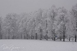 IMG_1509 Wintereinbruch im Mrz