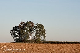 IMG_23793