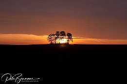 IMG_23877