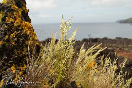 IMG 13867