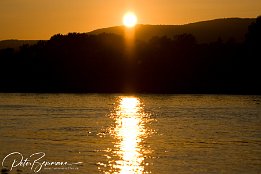 IMG_3876 Sonnenuntergang am Rhein