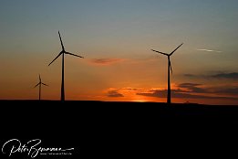 IMG 4210  Windräder im Sonnenuntergang