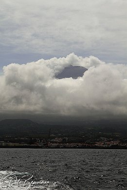 IMG 05697