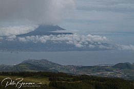 IMG 05711