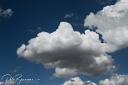 IMG 14222